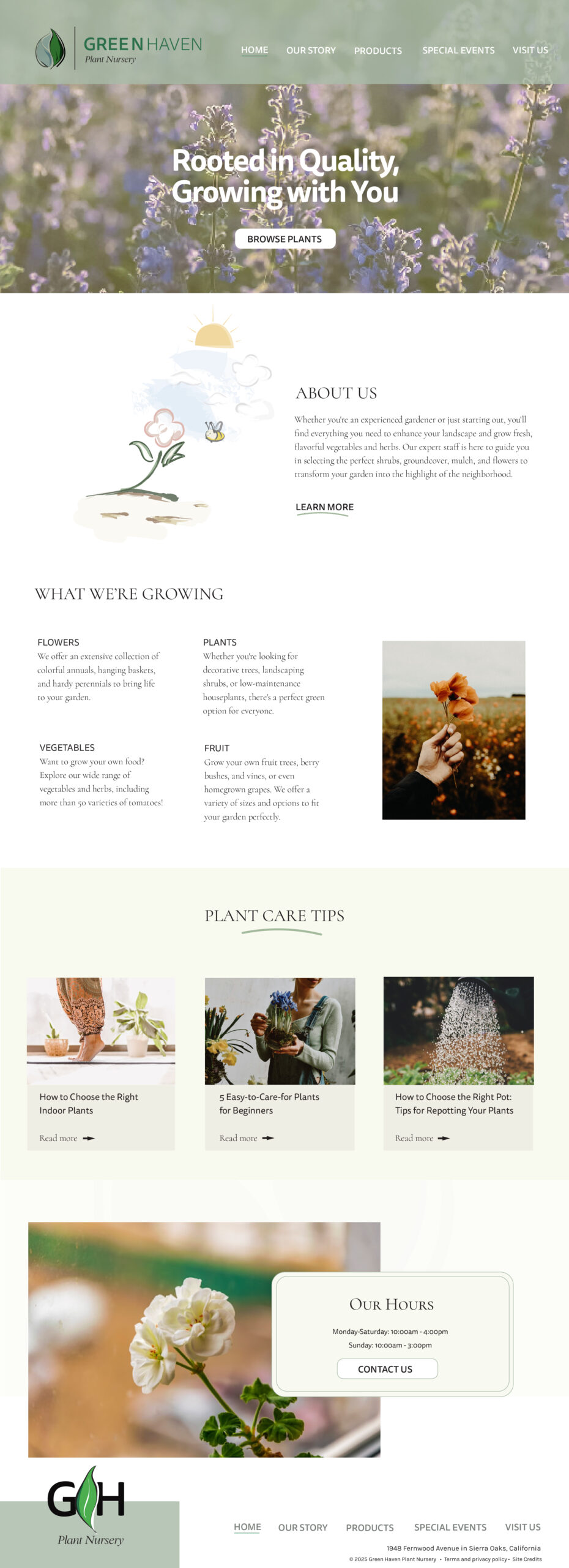 Plant nursery website designed in Divi for WordPress, featuring a modern classic style with hand-drawn elements, created by Stephanie Hamilton Design Co.