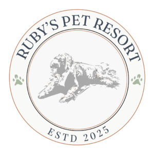 brand identity design for a pet resort - stephanie hamilton design co