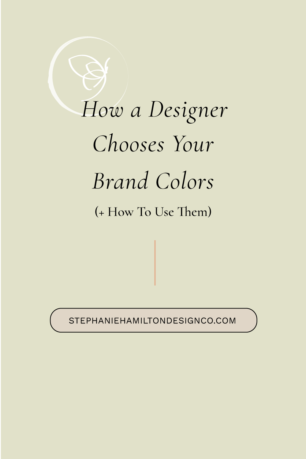 how a graphic designer chooses your brand colors and how to use them